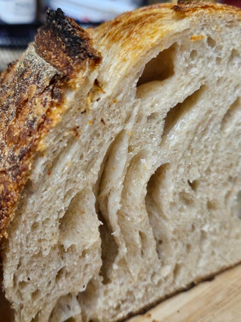 Crusty Artisan Bread
